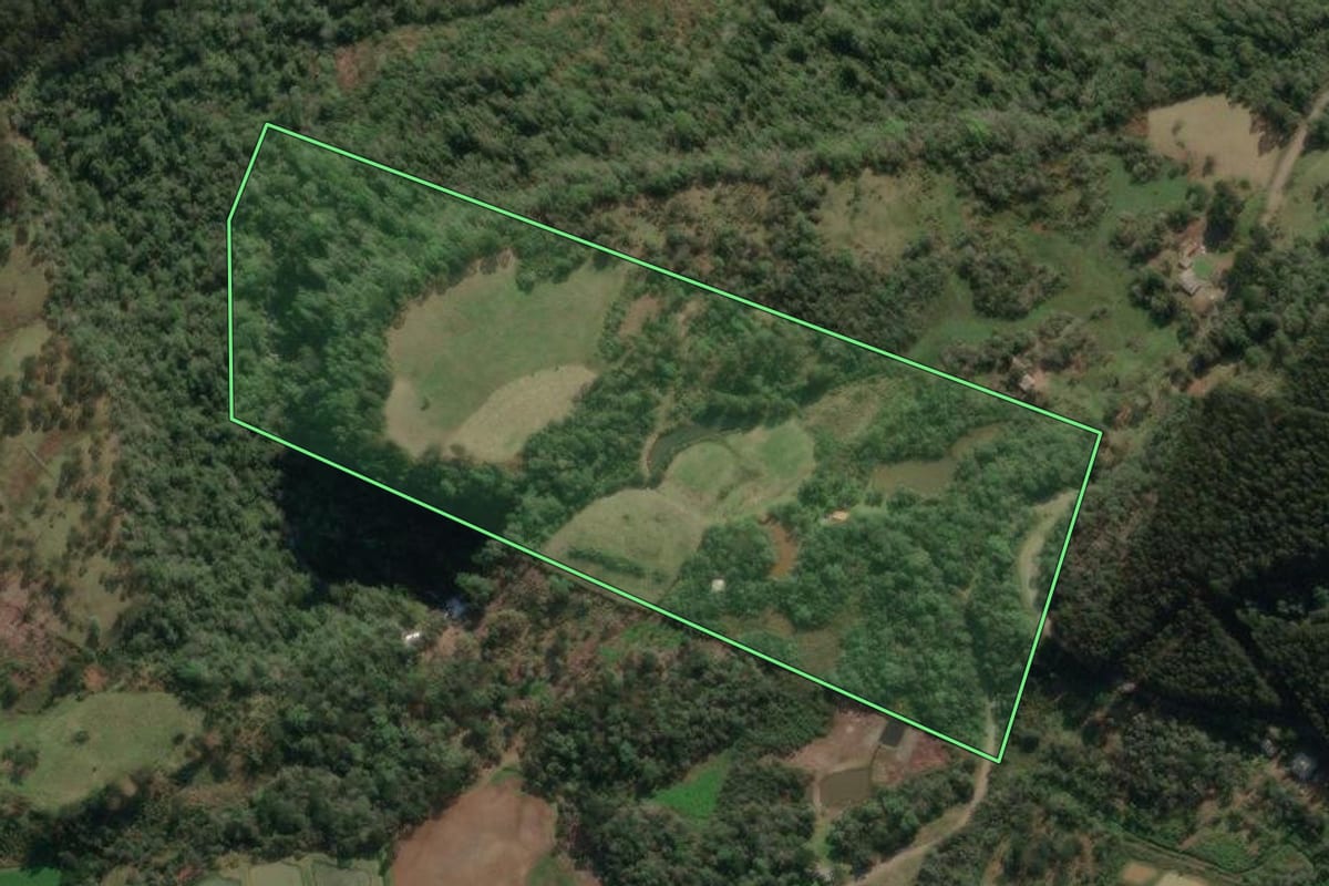 Imagem de satélite do imóvel rural em Porto União (SC), com o contorno declarado no CAR desenhado por cima.