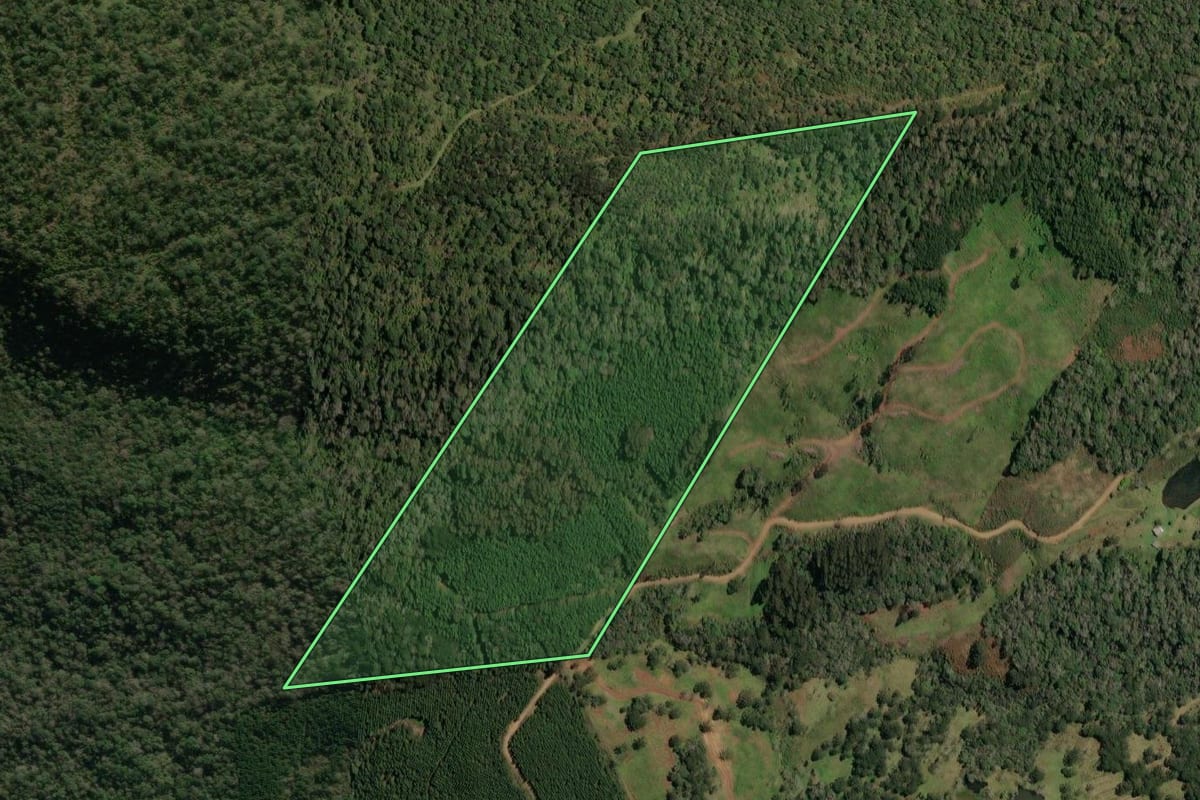 Imagem de satélite do imóvel rural em Porto União (SC), com o contorno declarado no CAR desenhado por cima.