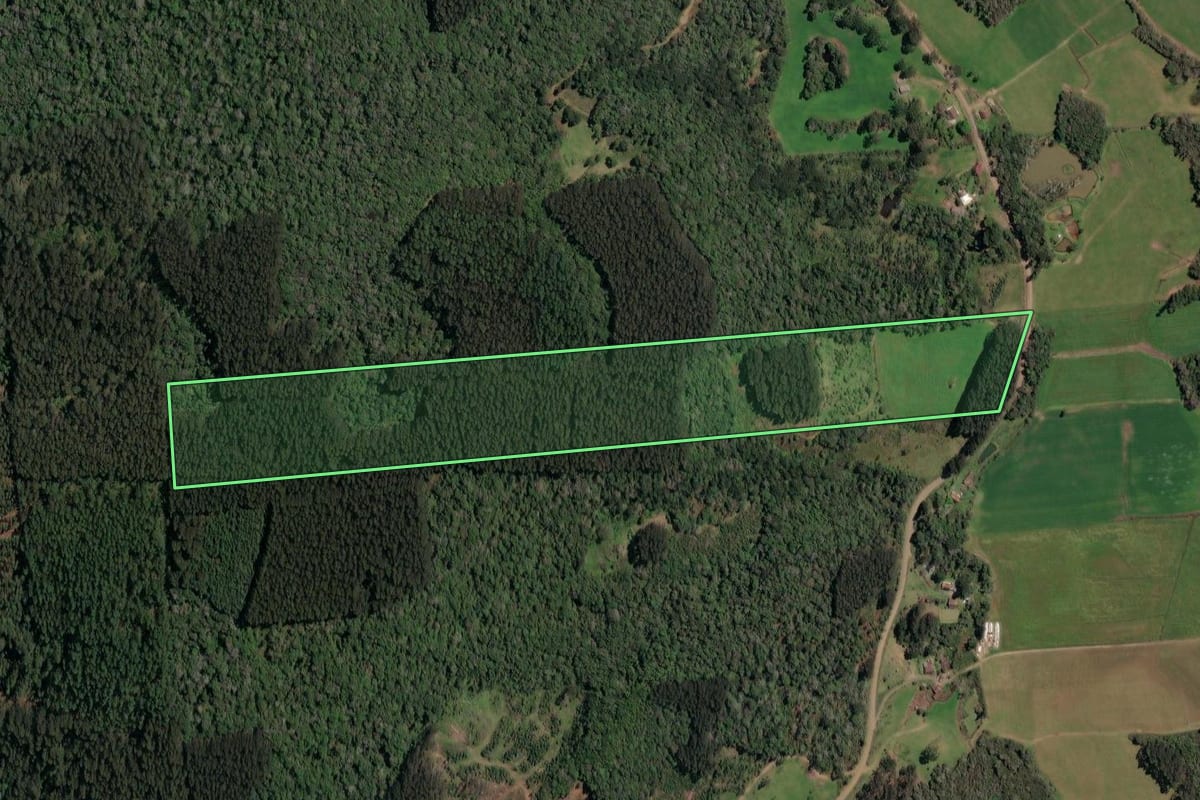 Imagem de satélite do imóvel rural em Porto União (SC), com o contorno declarado no CAR desenhado por cima.