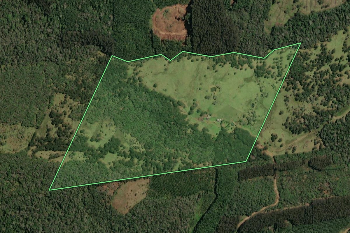 Imagem de satélite do imóvel rural em Porto União (SC), com o contorno declarado no CAR desenhado por cima.