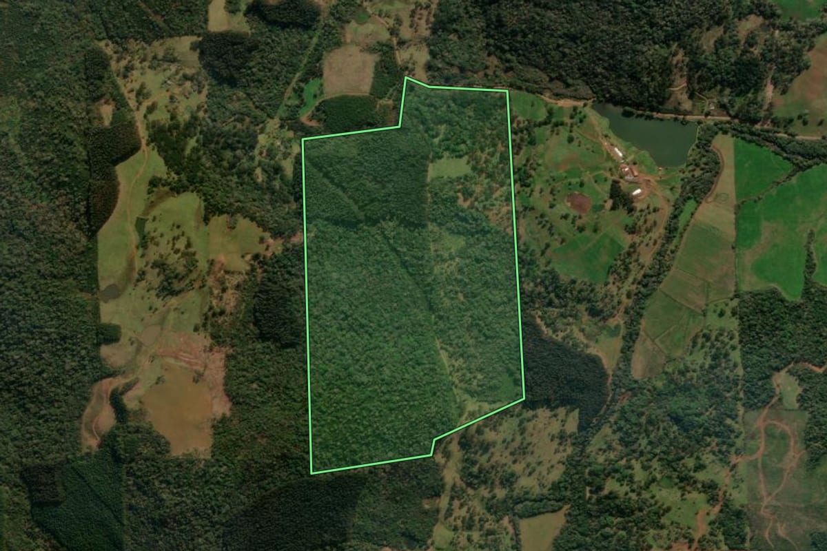 Imagem de satélite do imóvel rural em Porto União (SC), com o contorno declarado no CAR desenhado por cima.