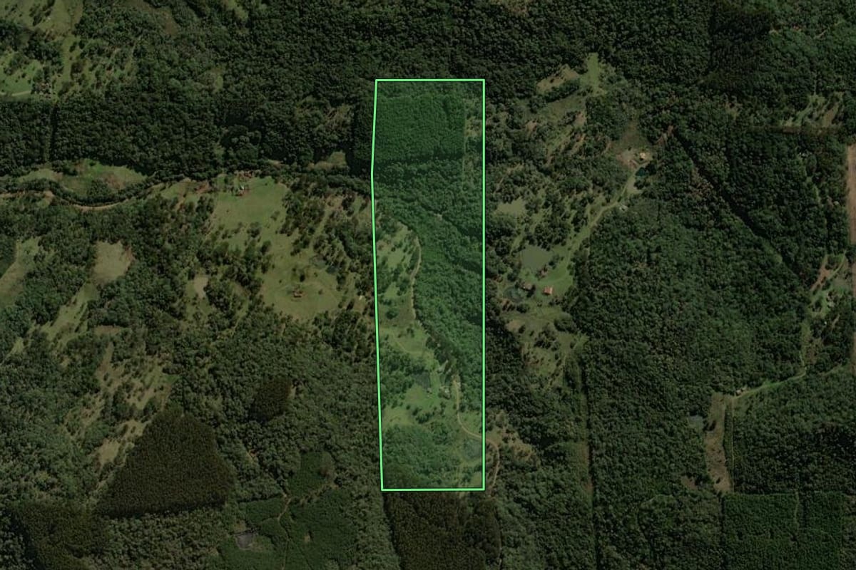 Imagem de satélite do imóvel rural em Porto União (SC), com o contorno declarado no CAR desenhado por cima.