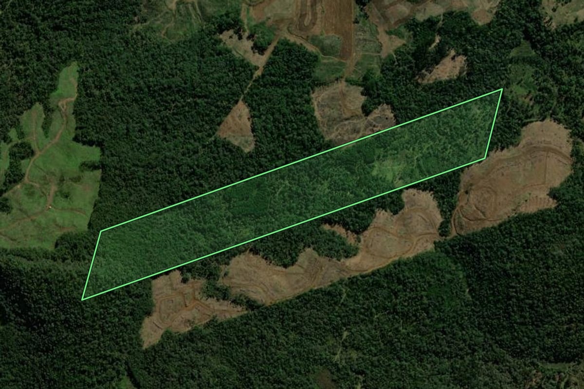 Imagem de satélite do imóvel rural em Porto União (SC), com o contorno declarado no CAR desenhado por cima.