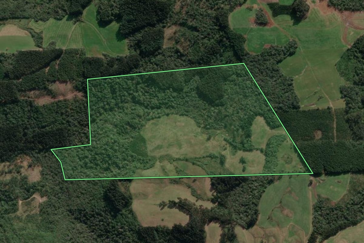 Imagem de satélite do imóvel rural em Porto União (SC), com o contorno declarado no CAR desenhado por cima.