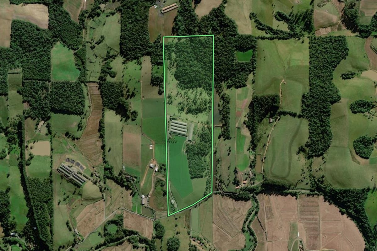 Imagem de satélite do imóvel rural em Pouso Redondo (SC), com o contorno declarado no CAR desenhado por cima.