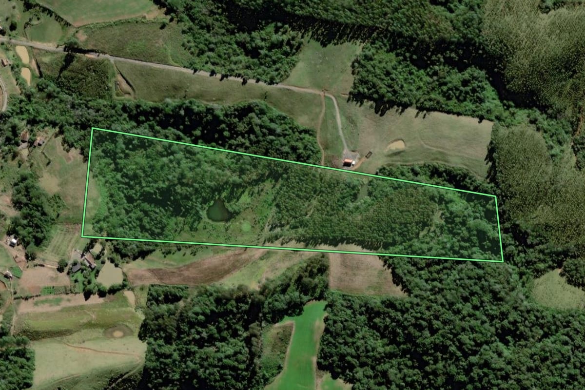 Imagem de satélite do imóvel rural em Pouso Redondo (SC), com o contorno declarado no CAR desenhado por cima.