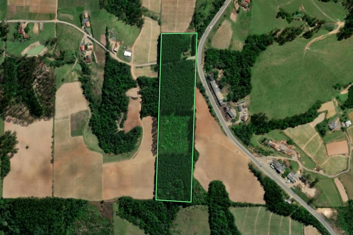 Imagem de satélite do imóvel rural em Pouso Redondo (SC), com o contorno declarado no CAR desenhado por cima.