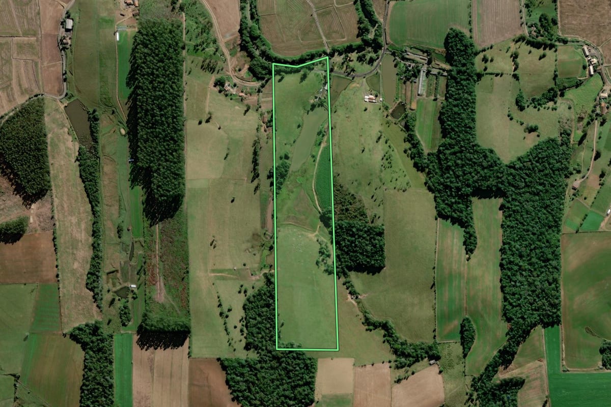 Imagem de satélite do imóvel rural em Pouso Redondo (SC), com o contorno declarado no CAR desenhado por cima.