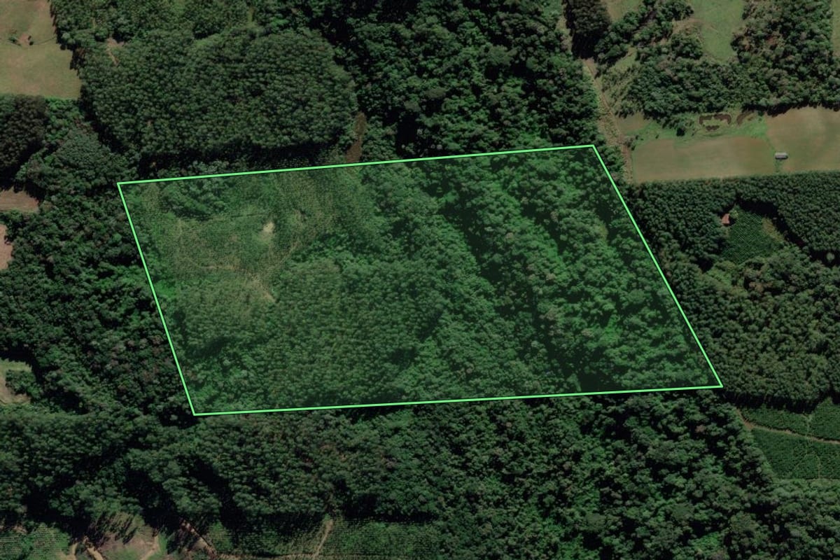 Imagem de satélite do imóvel rural em Pouso Redondo (SC), com o contorno declarado no CAR desenhado por cima.
