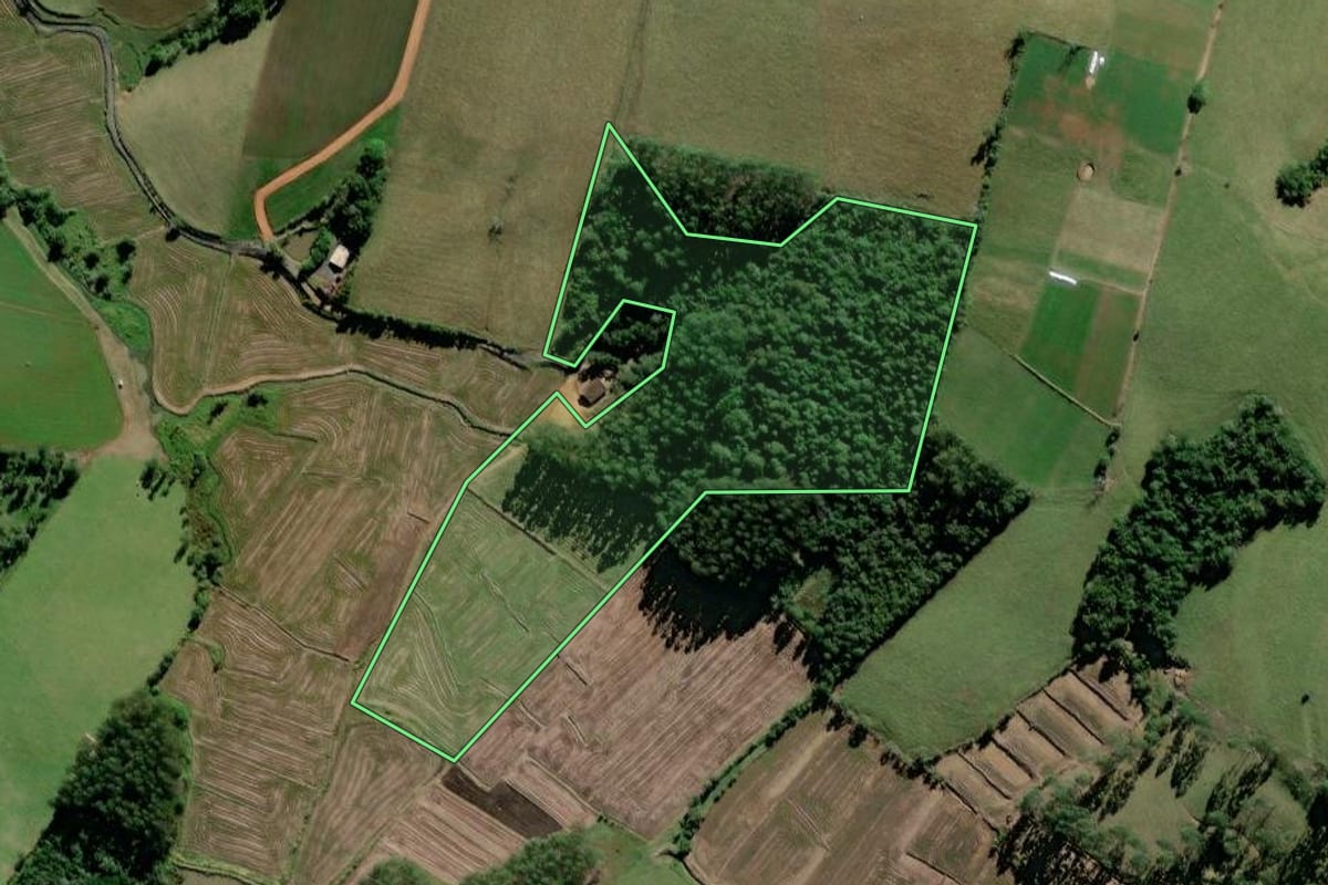 Imagem de satélite do imóvel rural em Pouso Redondo (SC), com o contorno declarado no CAR desenhado por cima.
