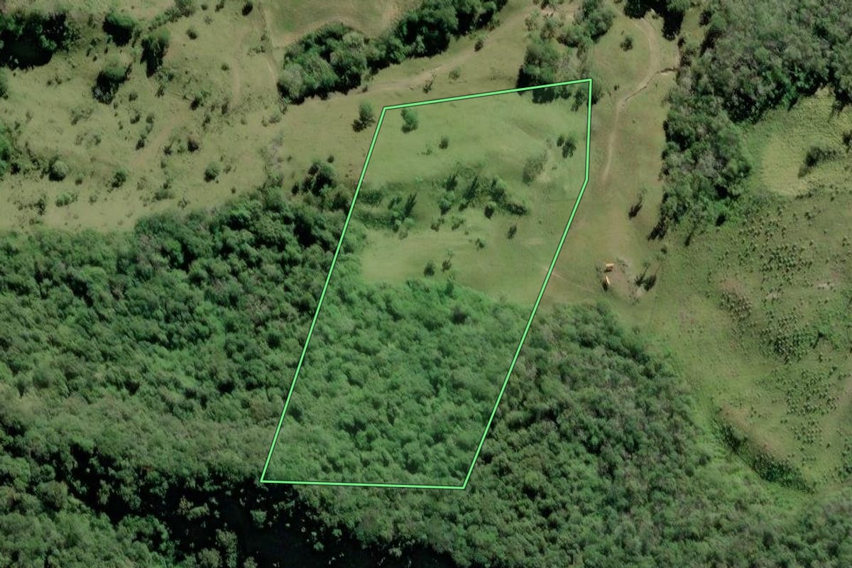 Imagem de satélite do imóvel rural em Pouso Redondo (SC), com o contorno declarado no CAR desenhado por cima.
