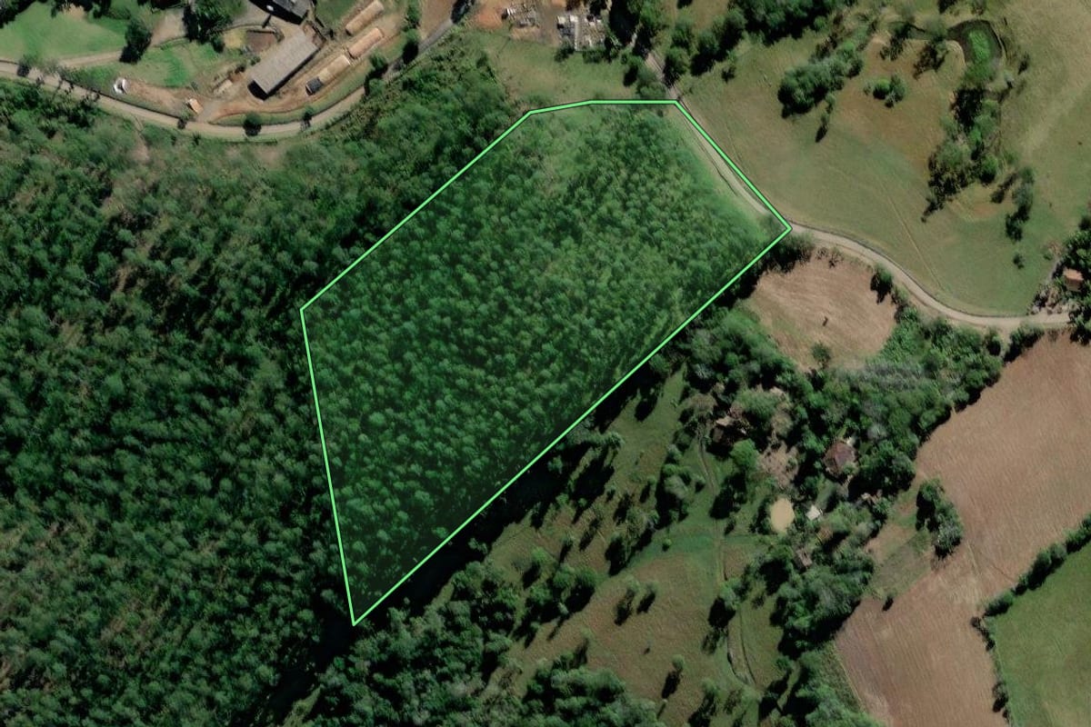 Imagem de satélite do imóvel rural em Pouso Redondo (SC), com o contorno declarado no CAR desenhado por cima.
