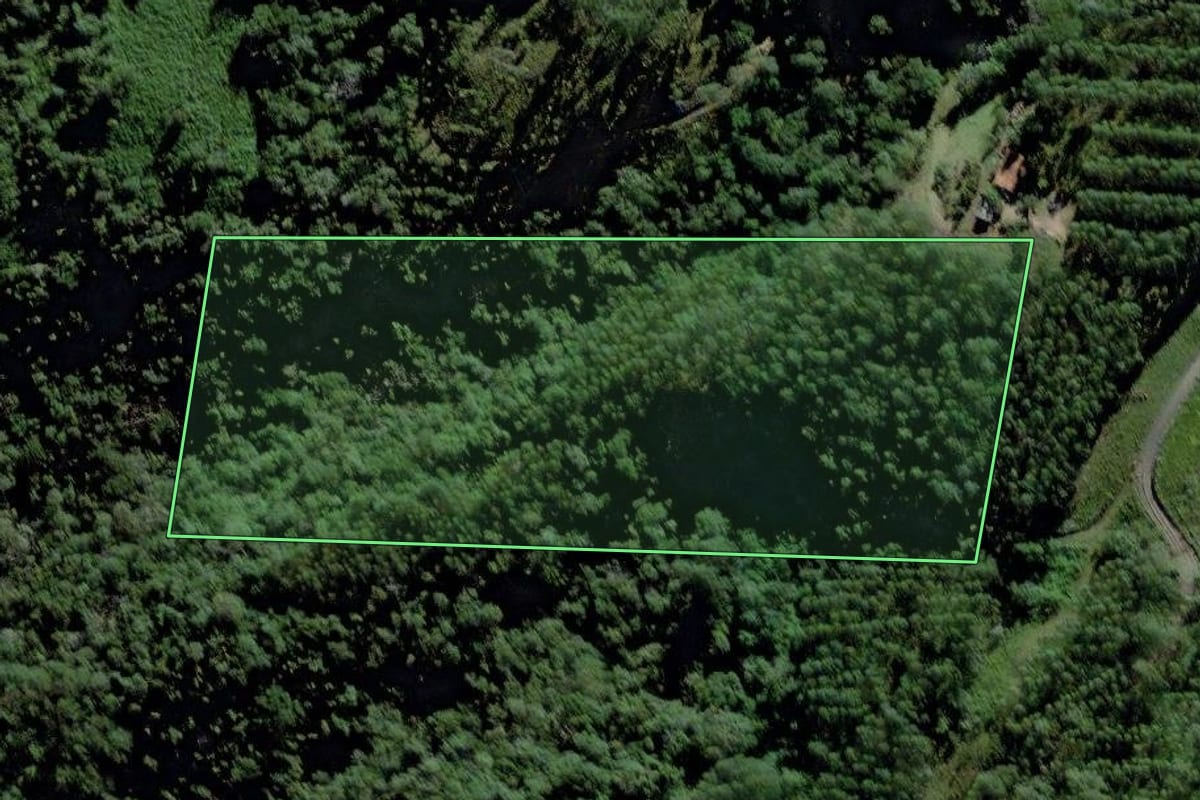 Imagem de satélite do imóvel rural em Pouso Redondo (SC), com o contorno declarado no CAR desenhado por cima.