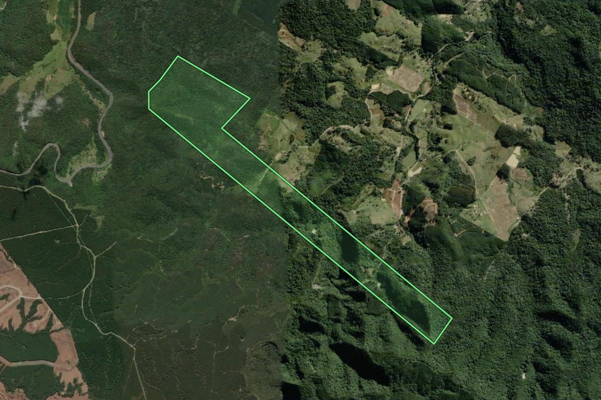 Imagem de satélite do imóvel rural em Pouso Redondo (SC), com o contorno declarado no CAR desenhado por cima.