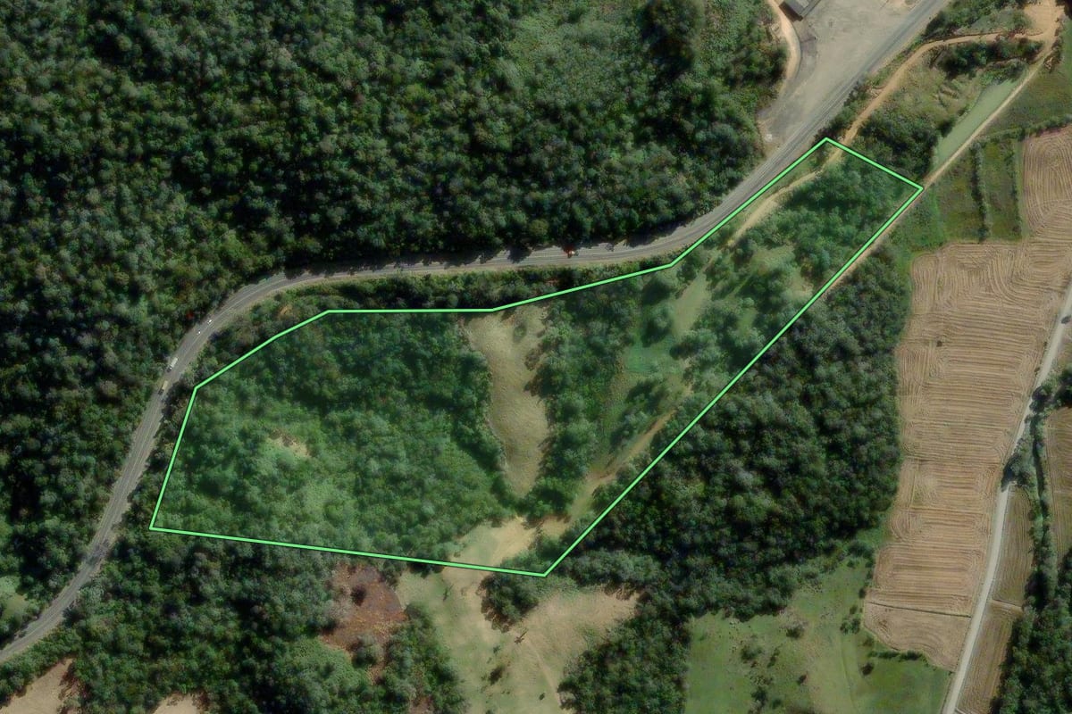 Imagem de satélite do imóvel rural em Pouso Redondo (SC), com o contorno declarado no CAR desenhado por cima.