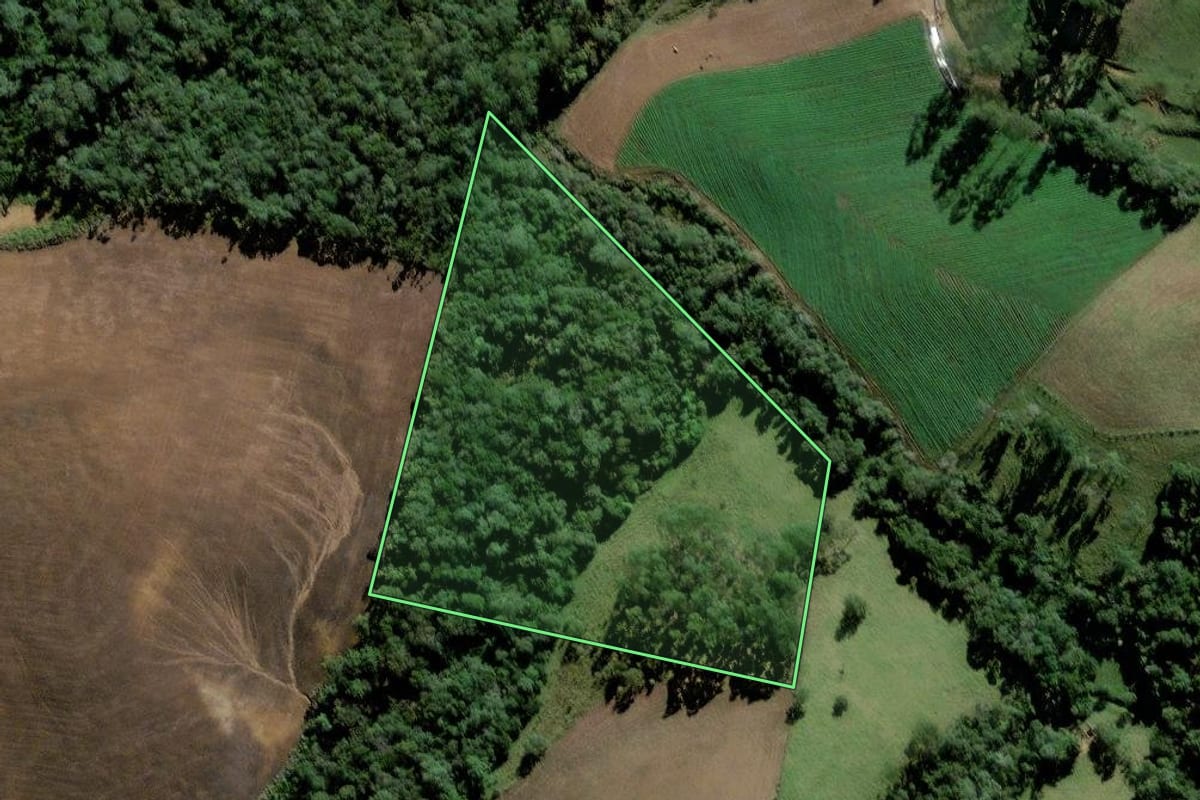 Imagem de satélite do imóvel rural em Pouso Redondo (SC), com o contorno declarado no CAR desenhado por cima.