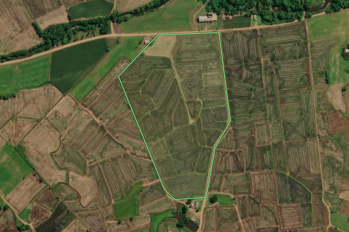 Imagem de satélite do imóvel rural em Praia Grande (SC), com o contorno declarado no CAR desenhado por cima.