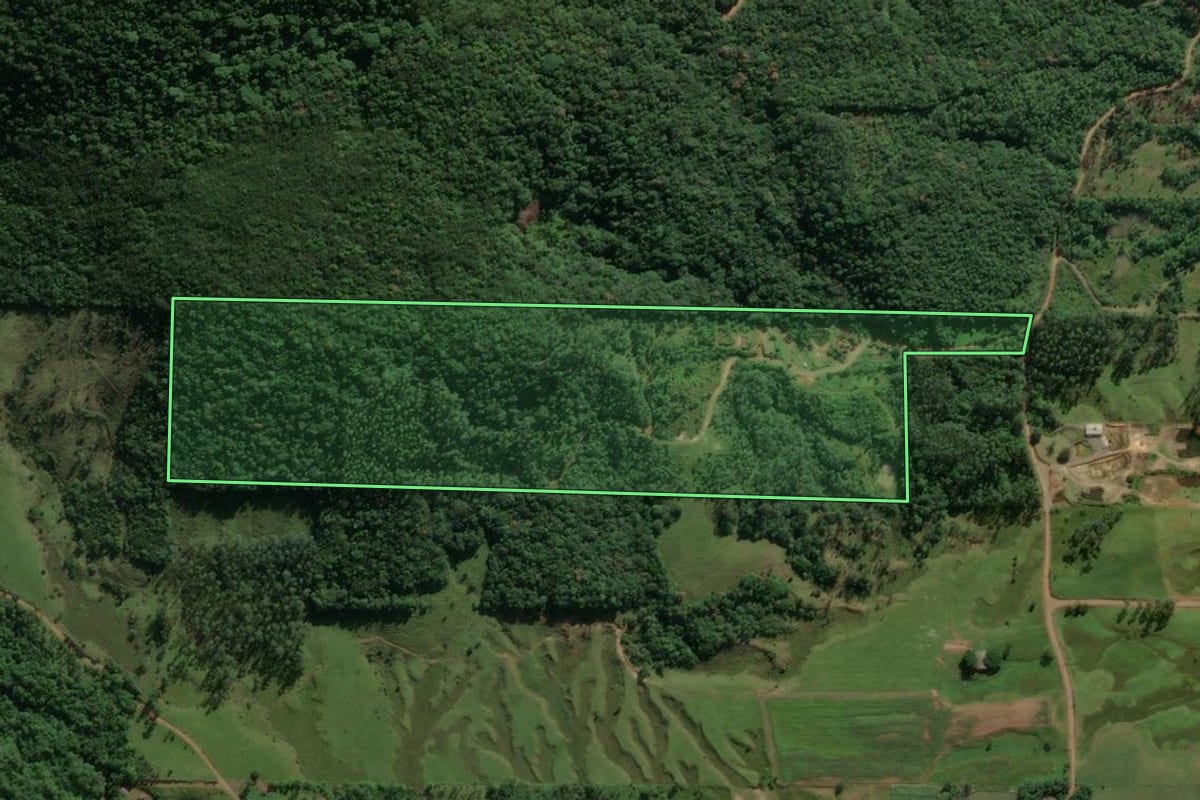 Imagem de satélite do imóvel rural em Praia Grande (SC), com o contorno declarado no CAR desenhado por cima.