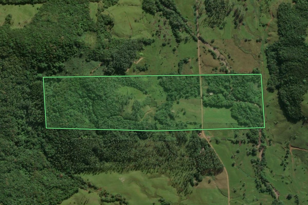 Imagem de satélite do imóvel rural em Praia Grande (SC), com o contorno declarado no CAR desenhado por cima.
