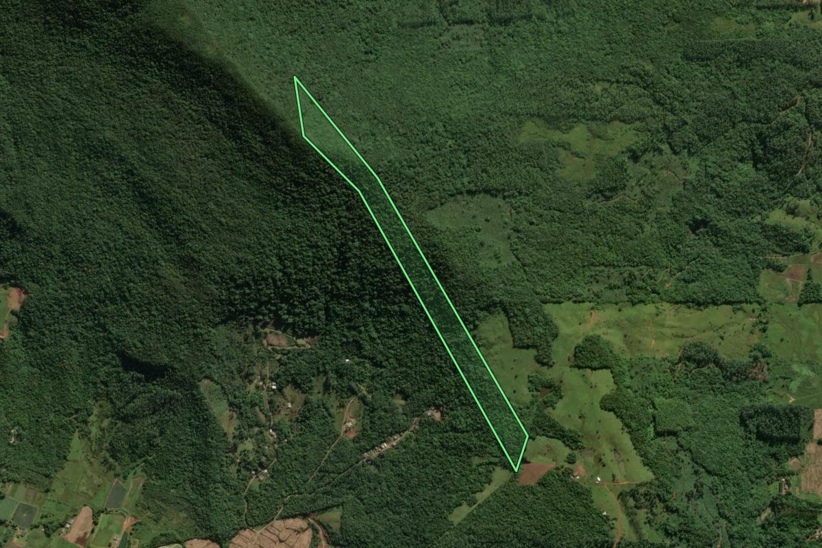 Imagem de satélite do imóvel rural em Praia Grande (SC), com o contorno declarado no CAR desenhado por cima.