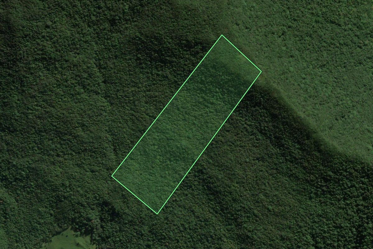 Imagem de satélite do imóvel rural em Praia Grande (SC), com o contorno declarado no CAR desenhado por cima.