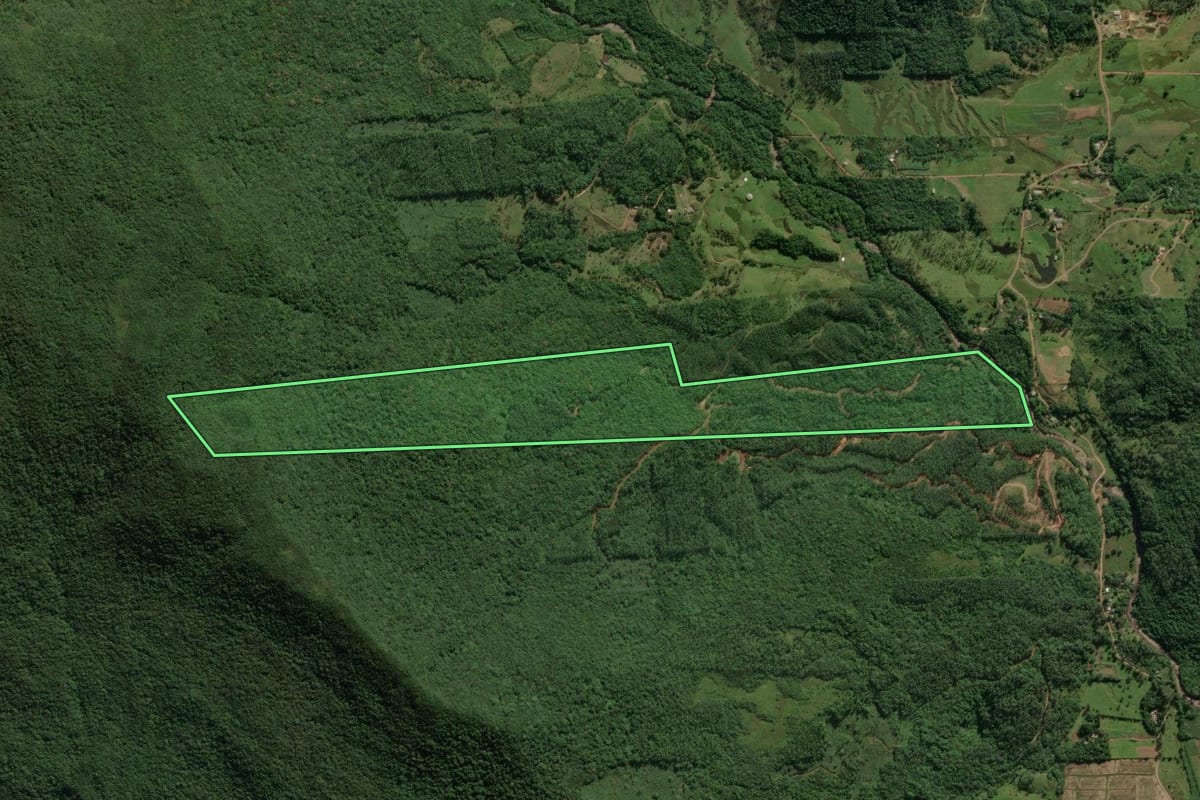 Imagem de satélite do imóvel rural em Praia Grande (SC), com o contorno declarado no CAR desenhado por cima.