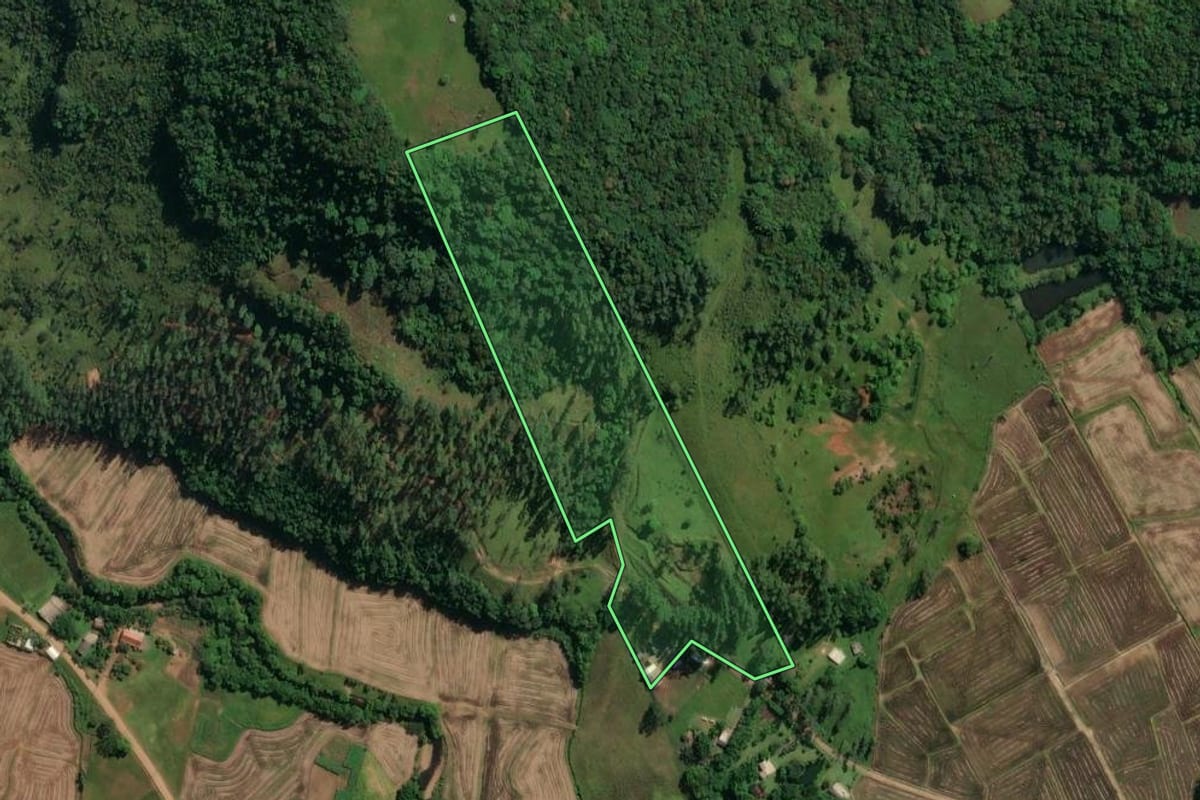 Imagem de satélite do imóvel rural em Praia Grande (SC), com o contorno declarado no CAR desenhado por cima.