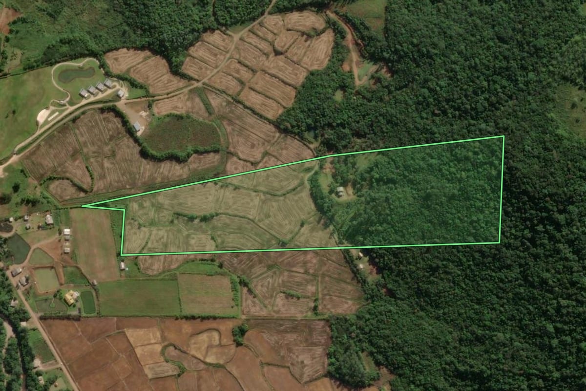 Imagem de satélite do imóvel rural em Praia Grande (SC), com o contorno declarado no CAR desenhado por cima.