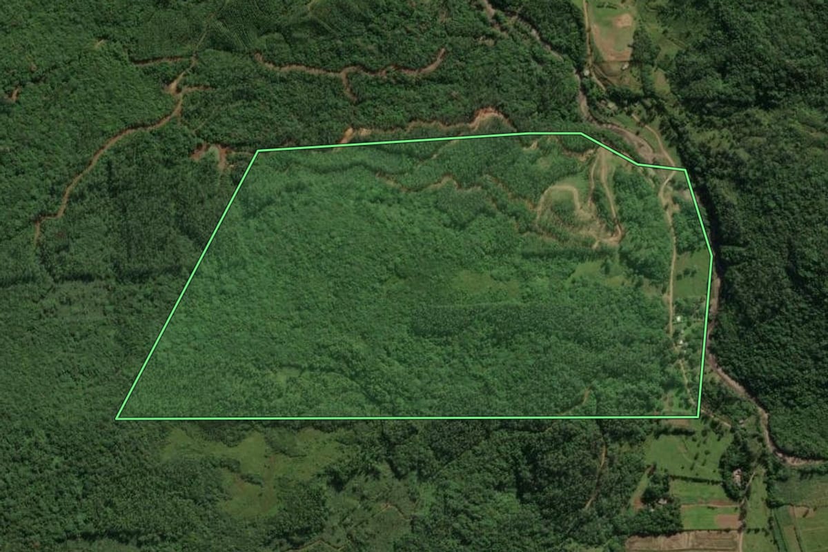 Imagem de satélite do imóvel rural em Praia Grande (SC), com o contorno declarado no CAR desenhado por cima.