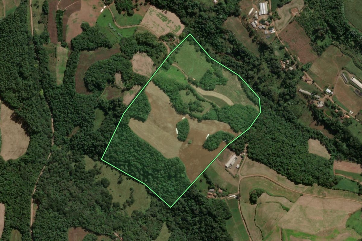 Imagem de satélite do imóvel rural em Presidente Castello Branco (SC), com o contorno declarado no CAR desenhado por cima.