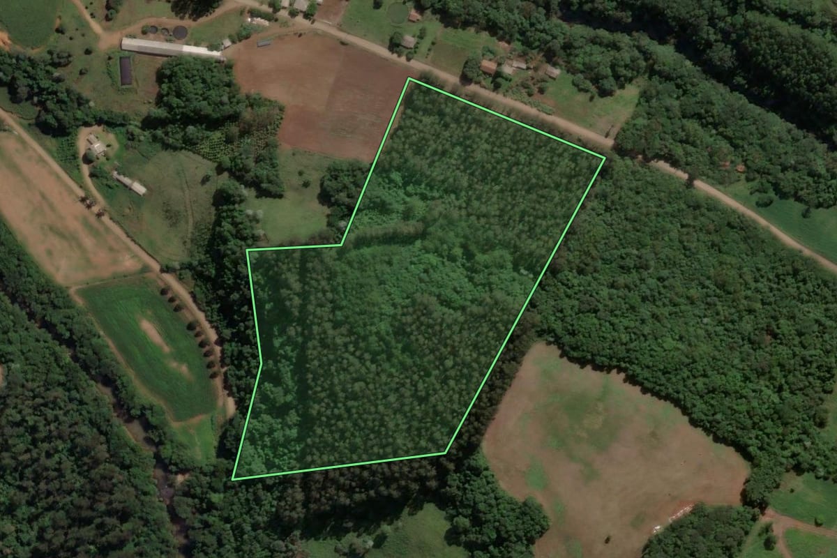 Imagem de satélite do imóvel rural em Presidente Castello Branco (SC), com o contorno declarado no CAR desenhado por cima.