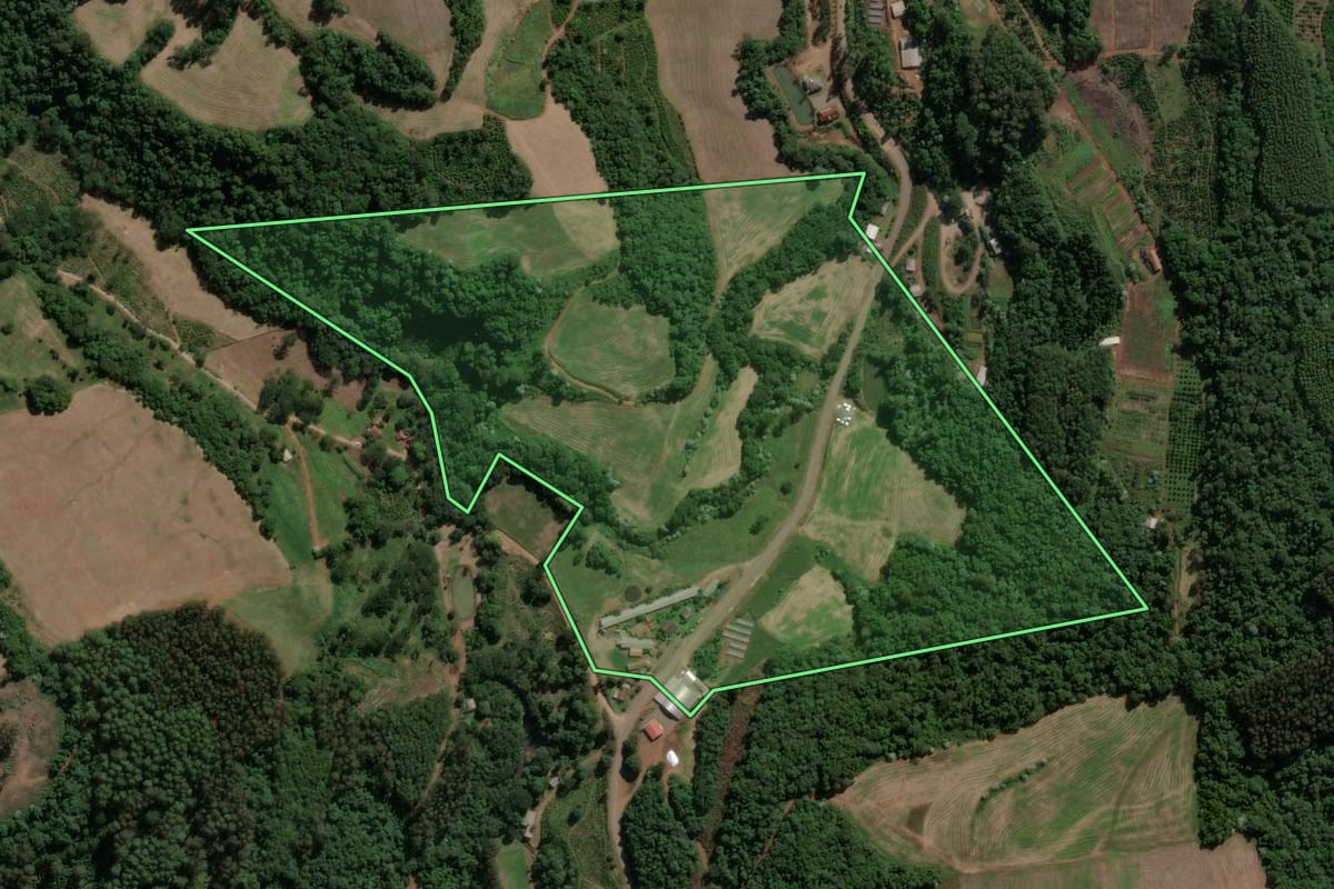 Imagem de satélite do imóvel rural em Presidente Castello Branco (SC), com o contorno declarado no CAR desenhado por cima.