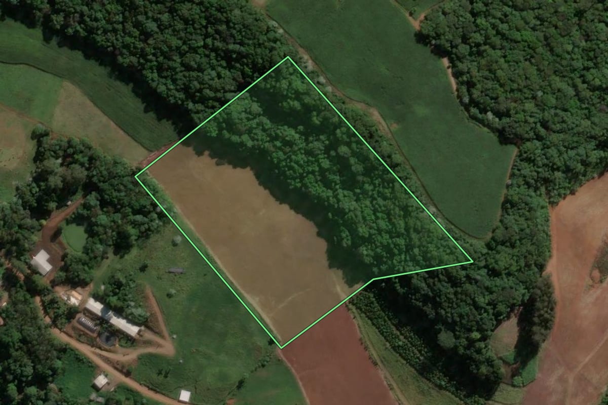 Imagem de satélite do imóvel rural em Presidente Castello Branco (SC), com o contorno declarado no CAR desenhado por cima.