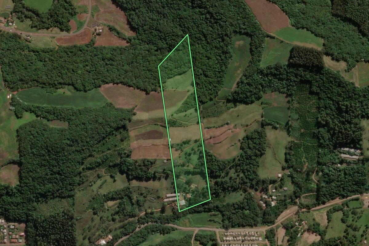 Imagem de satélite do imóvel rural em Presidente Castello Branco (SC), com o contorno declarado no CAR desenhado por cima.