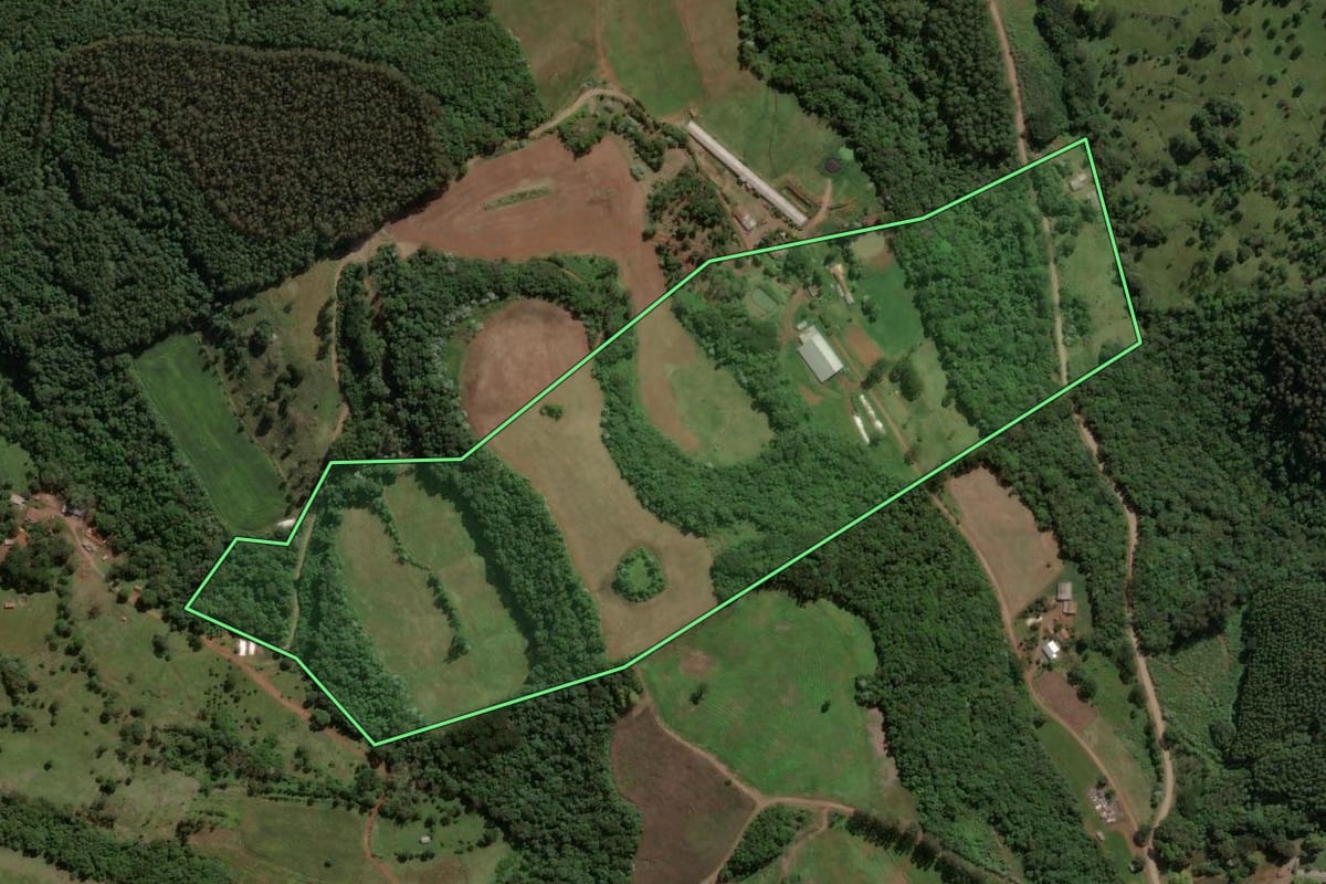 Imagem de satélite do imóvel rural em Presidente Castello Branco (SC), com o contorno declarado no CAR desenhado por cima.