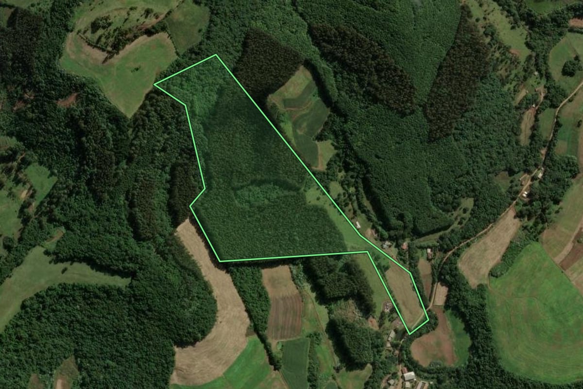 Imagem de satélite do imóvel rural em Presidente Castello Branco (SC), com o contorno declarado no CAR desenhado por cima.