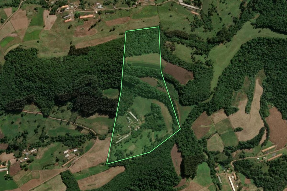 Imagem de satélite do imóvel rural em Presidente Castello Branco (SC), com o contorno declarado no CAR desenhado por cima.