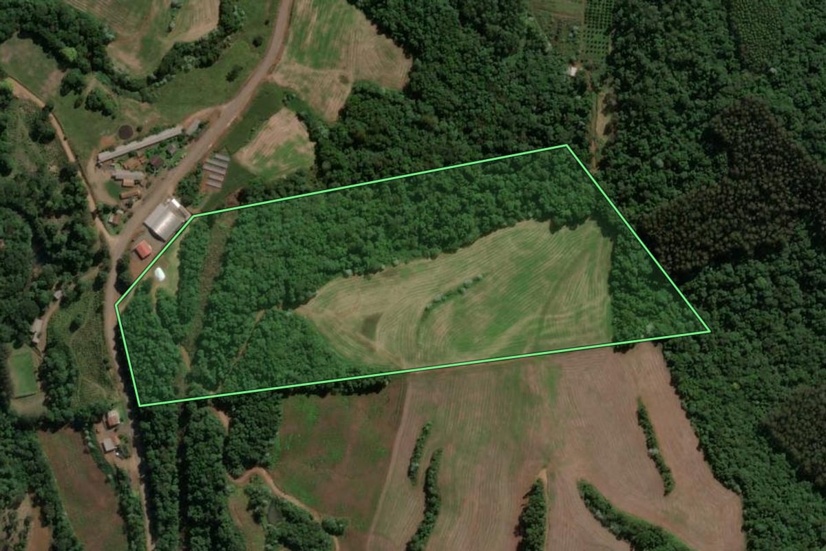 Imagem de satélite do imóvel rural em Presidente Castello Branco (SC), com o contorno declarado no CAR desenhado por cima.