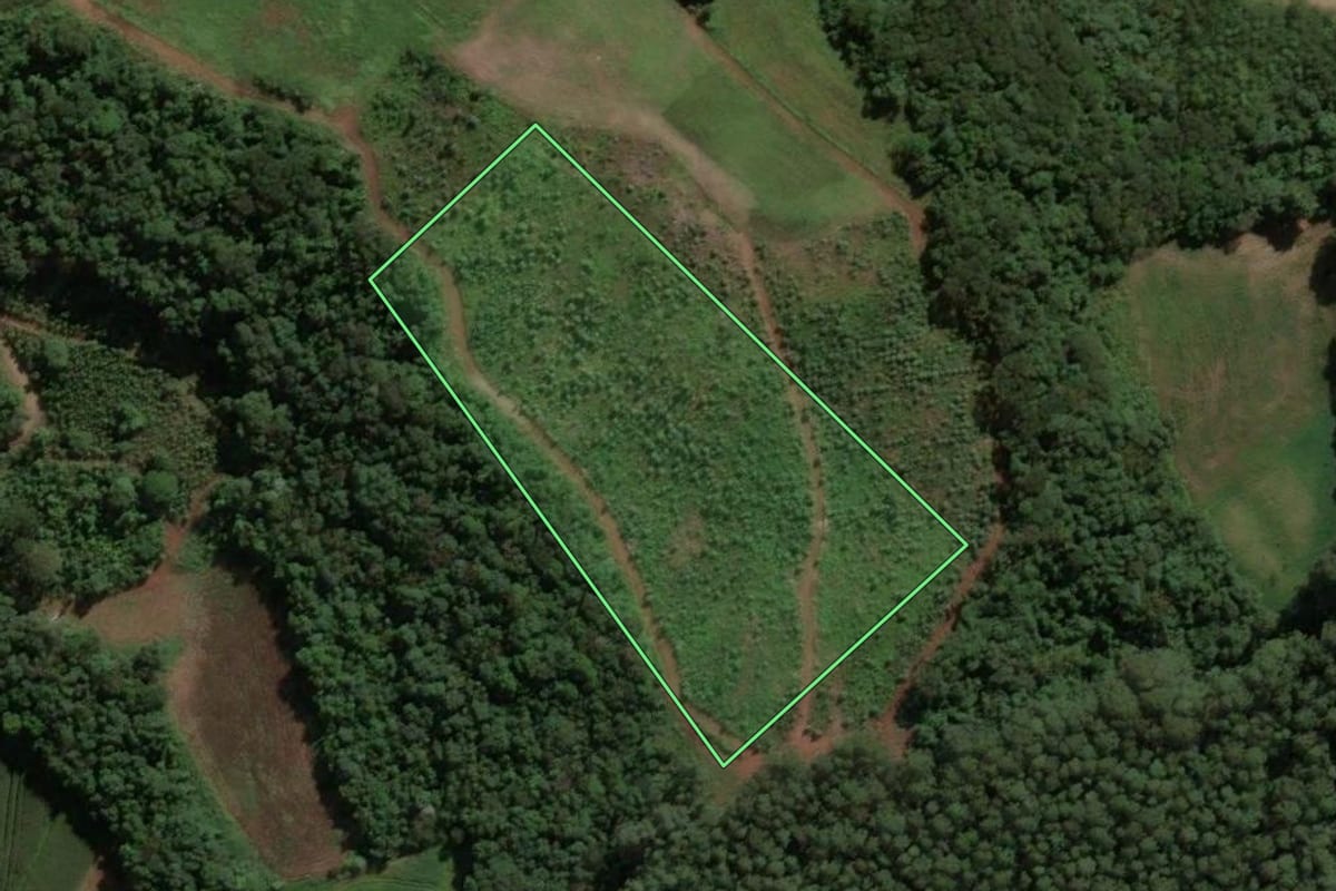 Imagem de satélite do imóvel rural em Presidente Castello Branco (SC), com o contorno declarado no CAR desenhado por cima.