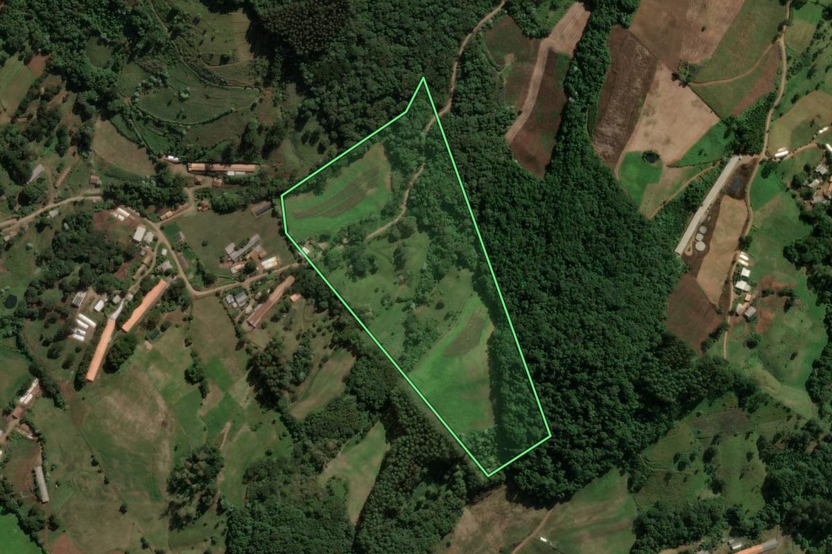 Imagem de satélite do imóvel rural em Presidente Castello Branco (SC), com o contorno declarado no CAR desenhado por cima.
