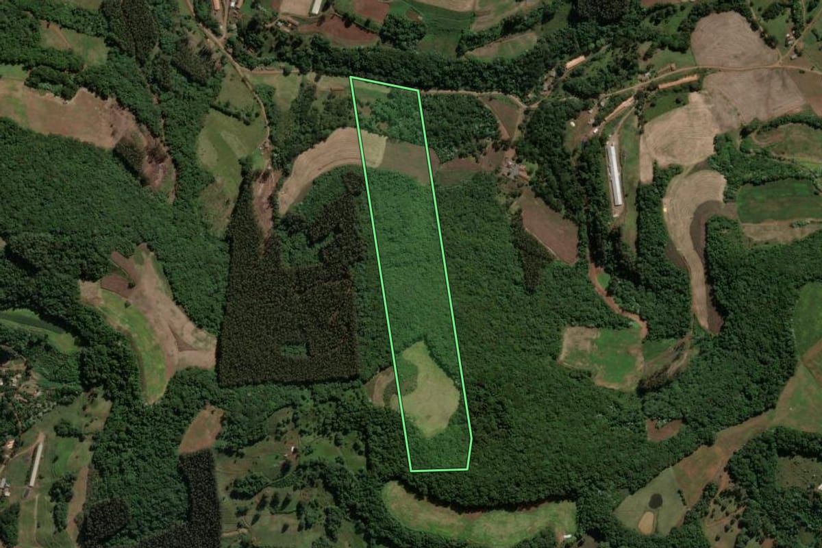 Imagem de satélite do imóvel rural em Presidente Castello Branco (SC), com o contorno declarado no CAR desenhado por cima.