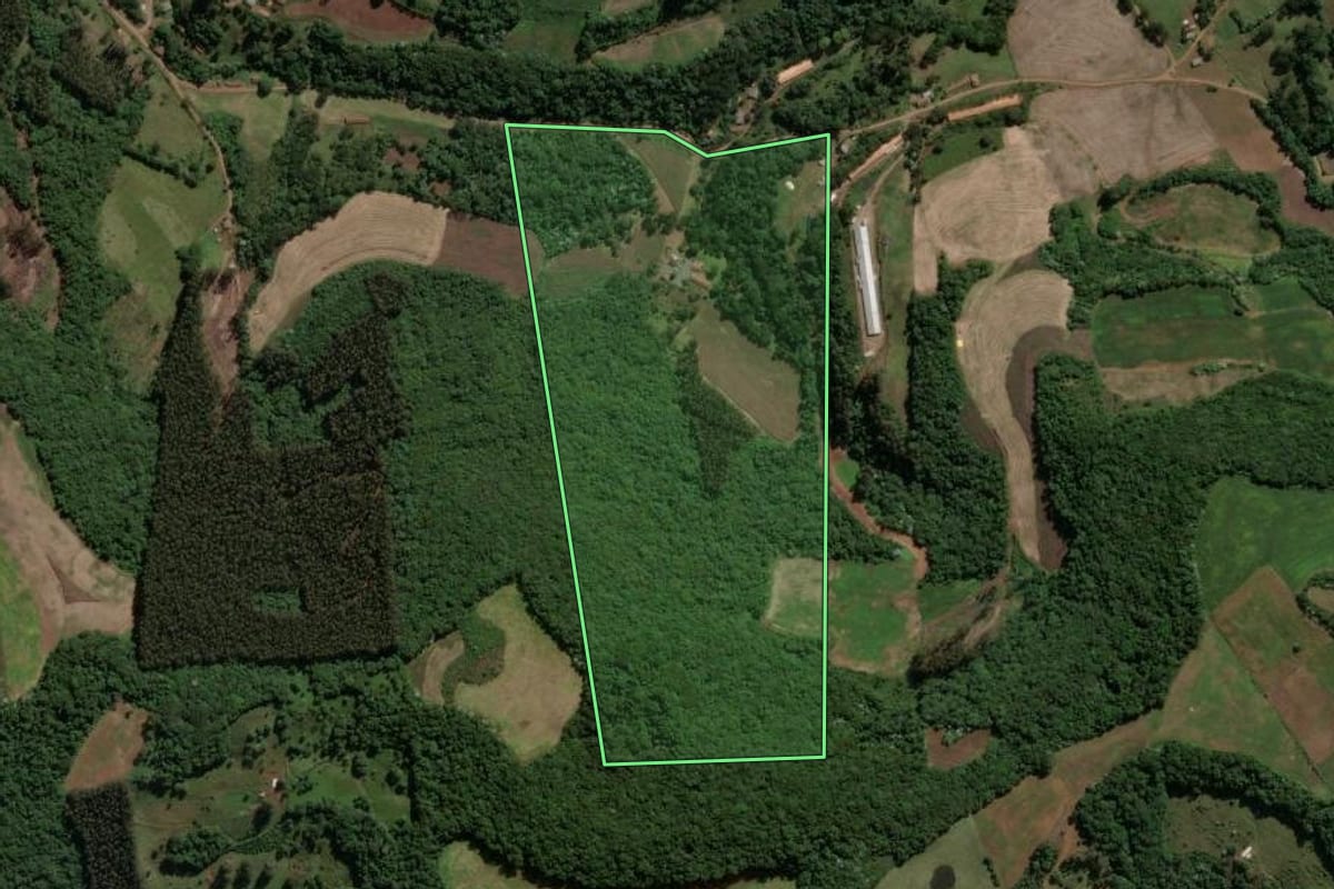 Imagem de satélite do imóvel rural em Presidente Castello Branco (SC), com o contorno declarado no CAR desenhado por cima.