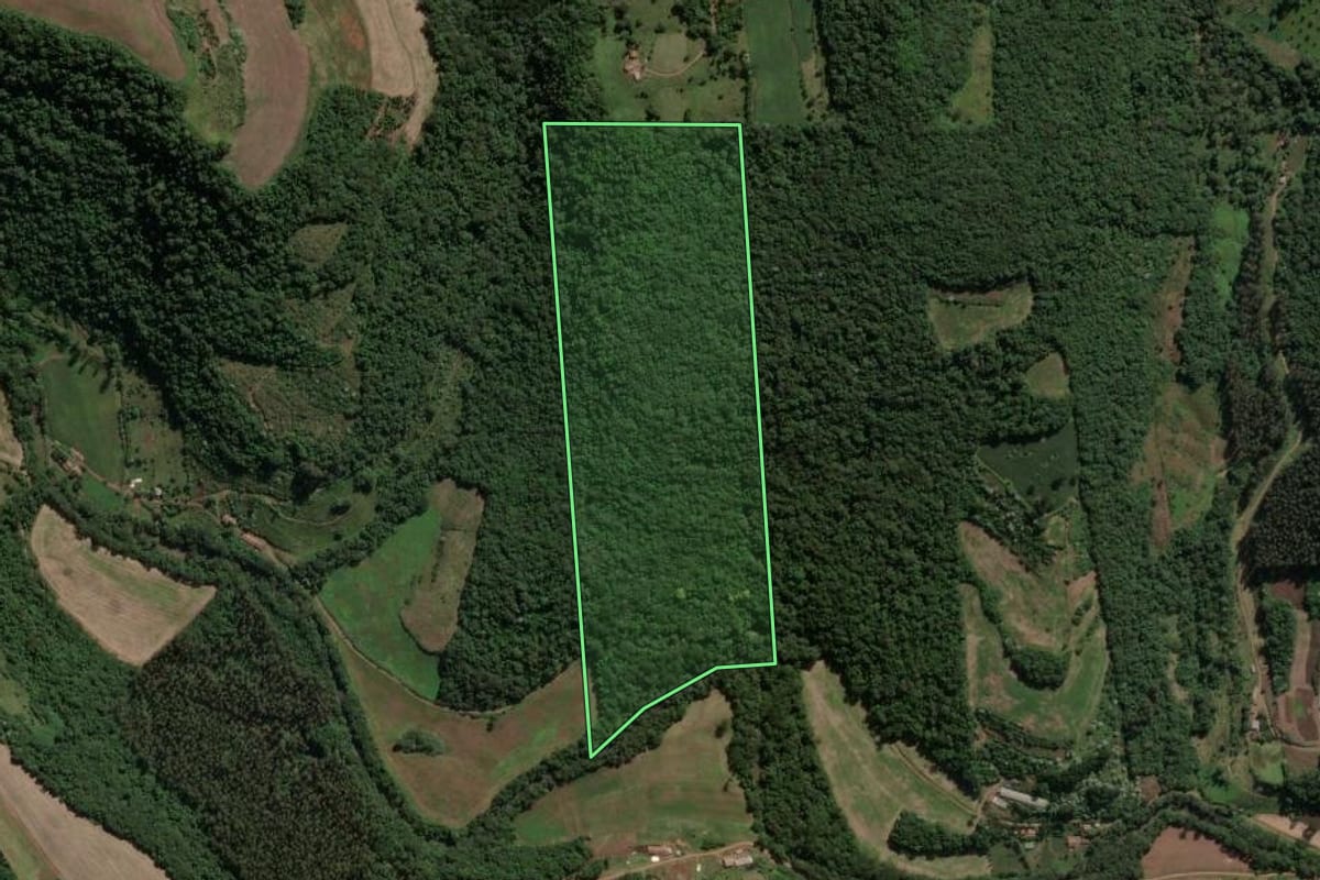 Imagem de satélite do imóvel rural em Presidente Castello Branco (SC), com o contorno declarado no CAR desenhado por cima.