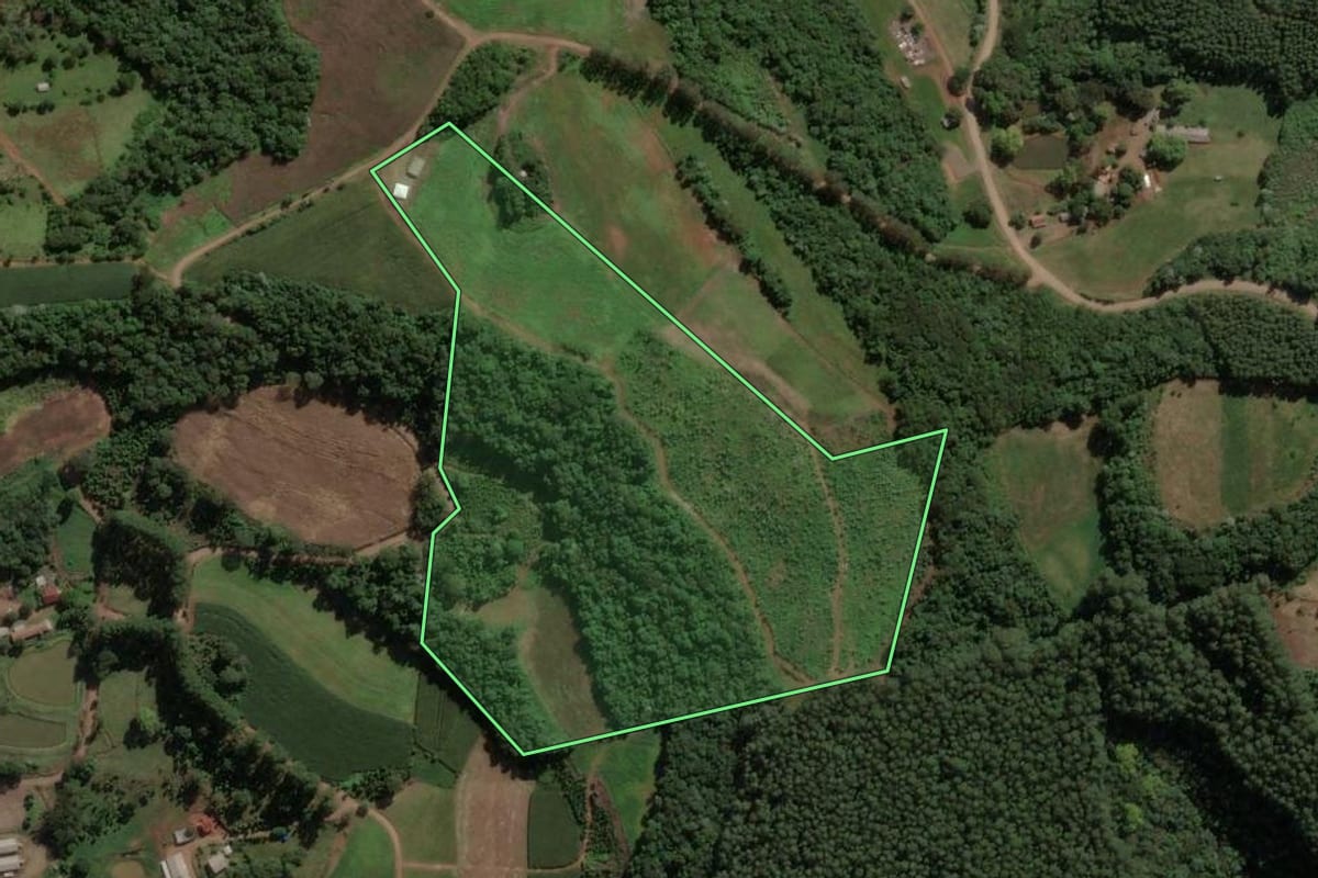 Imagem de satélite do imóvel rural em Presidente Castello Branco (SC), com o contorno declarado no CAR desenhado por cima.