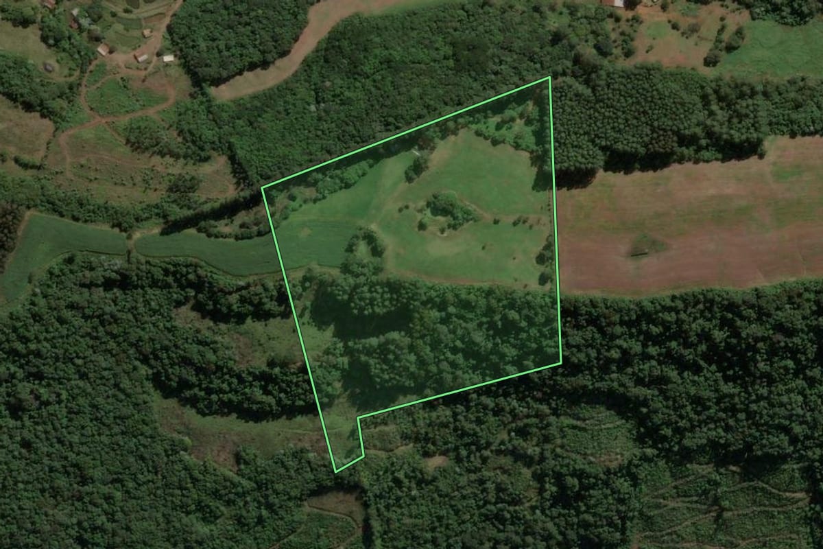 Imagem de satélite do imóvel rural em Presidente Castello Branco (SC), com o contorno declarado no CAR desenhado por cima.