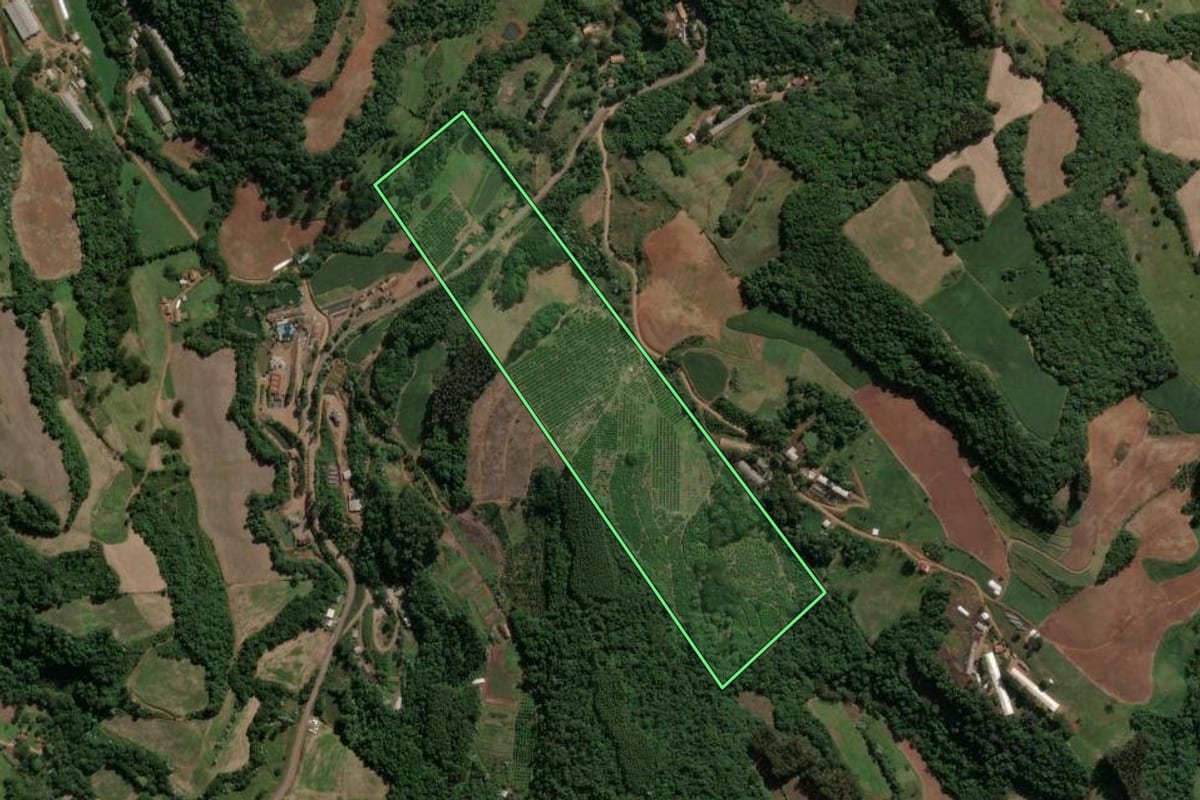 Imagem de satélite do imóvel rural em Presidente Castello Branco (SC), com o contorno declarado no CAR desenhado por cima.