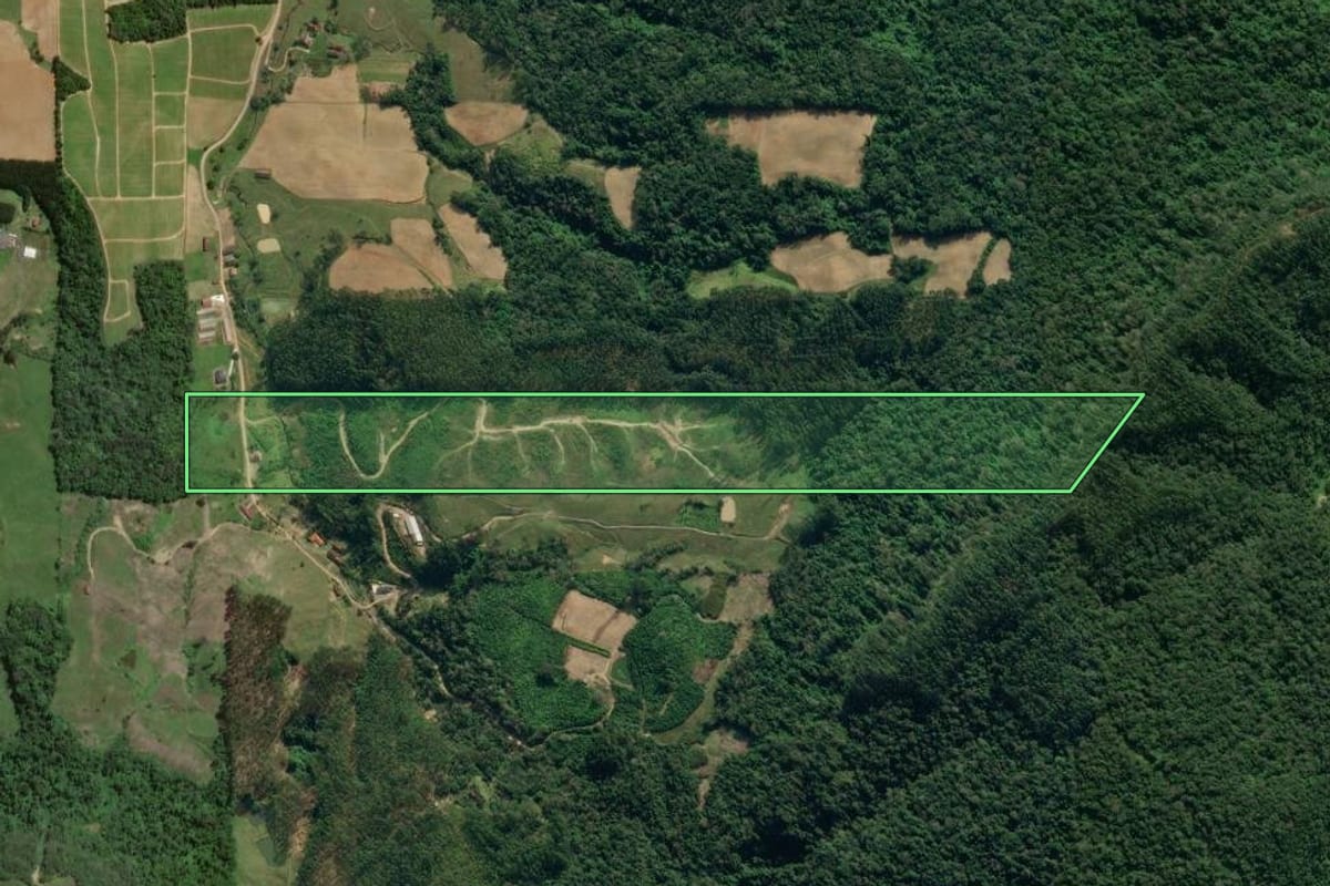 Imagem de satélite do imóvel rural em Presidente Getúlio (SC), com o contorno declarado no CAR desenhado por cima.