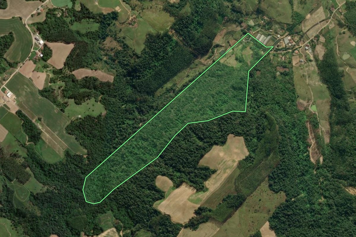 Imagem de satélite do imóvel rural em Presidente Getúlio (SC), com o contorno declarado no CAR desenhado por cima.