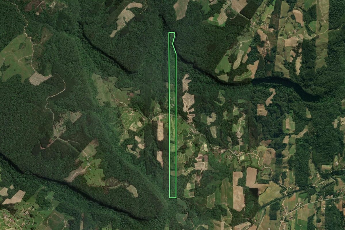 Imagem de satélite do imóvel rural em Presidente Getúlio (SC), com o contorno declarado no CAR desenhado por cima.