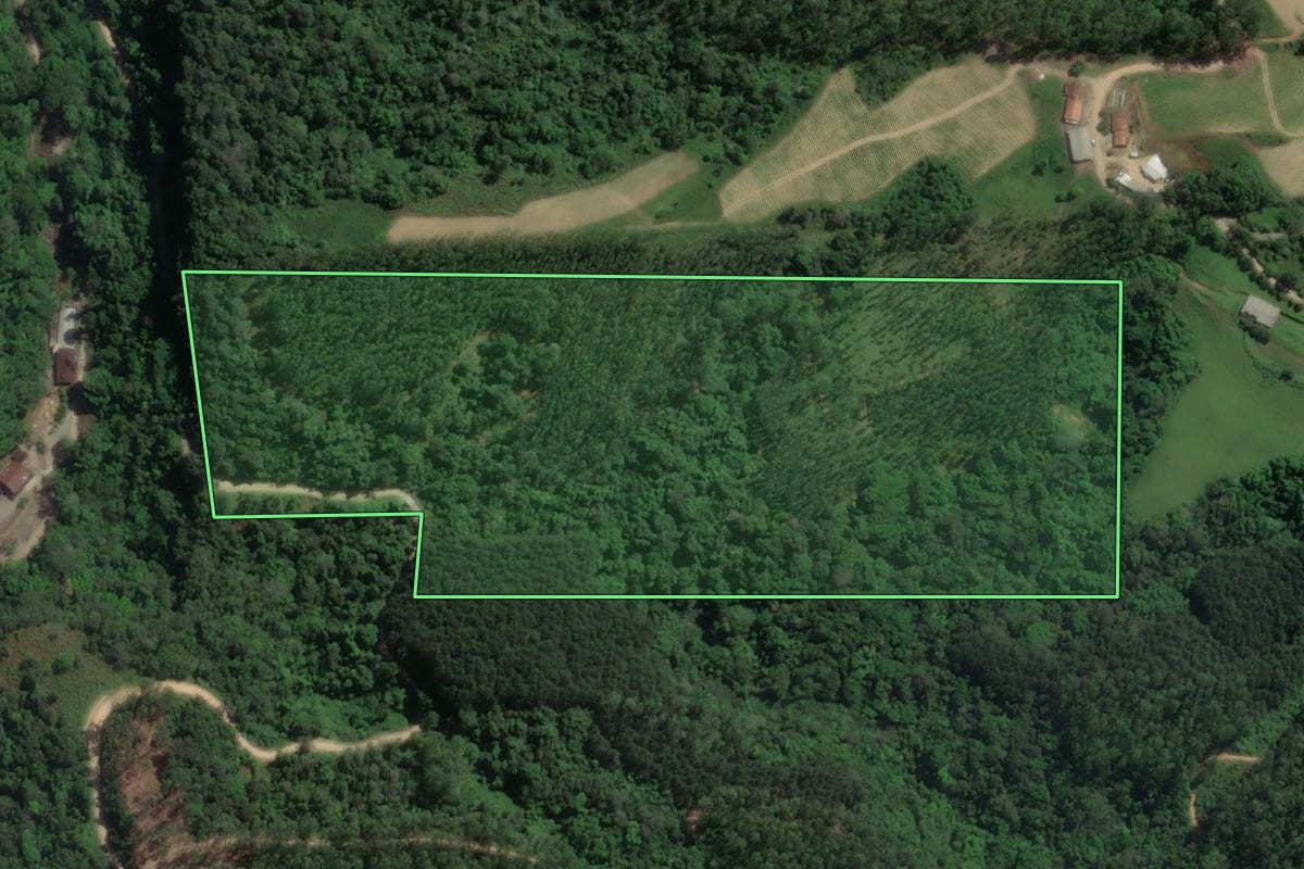 Imagem de satélite do imóvel rural em Presidente Getúlio (SC), com o contorno declarado no CAR desenhado por cima.